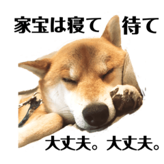 [LINEスタンプ] ポジティブ タロー＆豆太