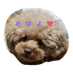 [LINEスタンプ] わんこ17