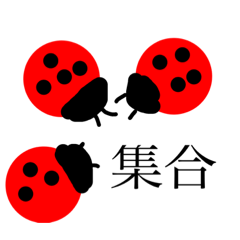 [LINEスタンプ] 絶対使うな