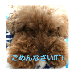 [LINEスタンプ] pamiスタ