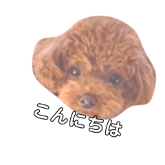 [LINEスタンプ] john7