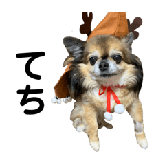 [LINEスタンプ] ずっと舌出てるたーちゃん