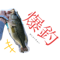 [LINEスタンプ] 釣りバカ言語
