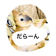 [LINEスタンプ] 可愛いうさぎの日常スタンプ