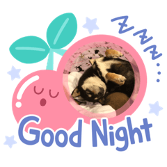 [LINEスタンプ] シナモン21
