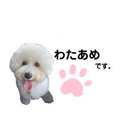 [LINEスタンプ] わたあめ②
