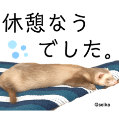 [LINEスタンプ] 毎日、つくね。(敬語)
