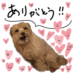 [LINEスタンプ] もふ男公式スタンプ