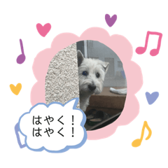 [LINEスタンプ] ウェスティの小太郎くん