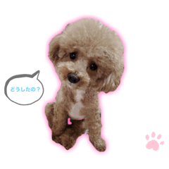 [LINEスタンプ] マハロのいちにち