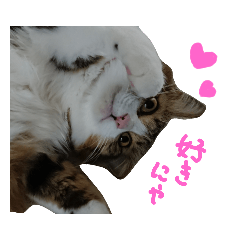 Anzu-chan cat stickers