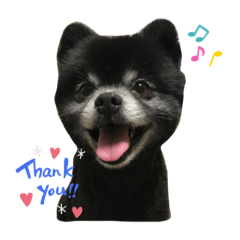 [LINEスタンプ] 黒ポメのポンタくん2