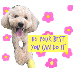 [LINEスタンプ] くくまるぴっぴ