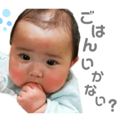 [LINEスタンプ] ふーちゃま❷