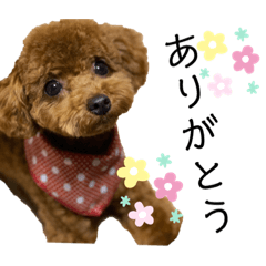 [LINEスタンプ] Cheri,love