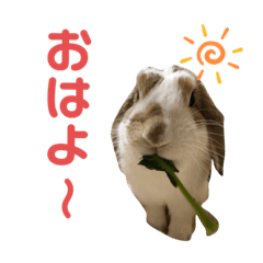 [LINEスタンプ] パンくんのスタンプ！