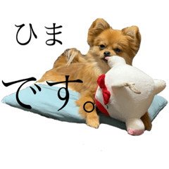 [LINEスタンプ] こたすたんぷ3