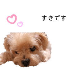 [LINEスタンプ] ろっちゃんスタンプ♡♡