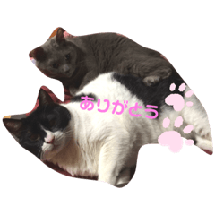 [LINEスタンプ] ミルクとミント