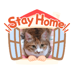 [LINEスタンプ] 実写版MIX茶子さん