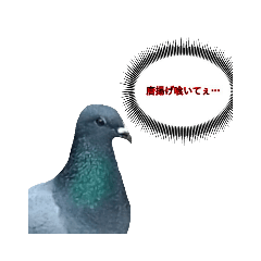 [LINEスタンプ] xxハトxx