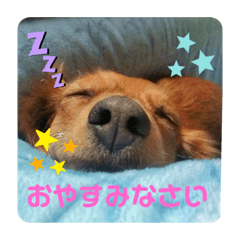 [LINEスタンプ] ルカのスタンプ01