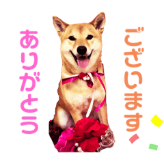 [LINEスタンプ] はなちゃん スタンプ 第1弾