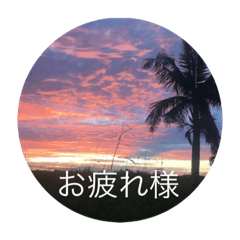[LINEスタンプ] 石垣島からのご挨拶