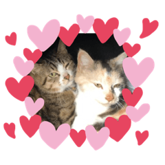 [LINEスタンプ] 弓南ちゃん