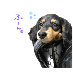 [LINEスタンプ] アル様part2