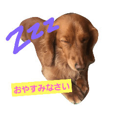 [LINEスタンプ] きなこたろももぽぽぽんずもっぷ