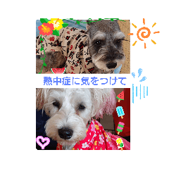 [LINEスタンプ] ルーク＆サラの夏