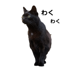 [LINEスタンプ] 黒猫のおはぎだよ