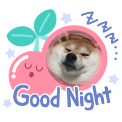 [LINEスタンプ] 柴犬豆ちゃん