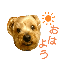[LINEスタンプ] うちの癒しっ仔2