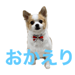 [LINEスタンプ] 空Kuuのスタンプ
