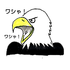 [LINEスタンプ] White head eagleワシゃワシゃ