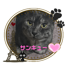 [LINEスタンプ] あおりき5
