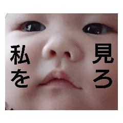 [LINEスタンプ] こむぎファミリー2