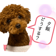 [LINEスタンプ] Cheri,love you