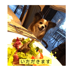 [LINEスタンプ] チャタココあるある