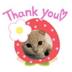 [LINEスタンプ] めろと茶々丸 顔ハメ