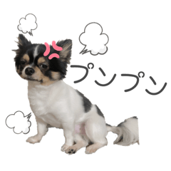 [LINEスタンプ] ひなた星人