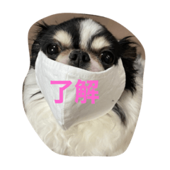 [LINEスタンプ] 小鉄コタ小夏