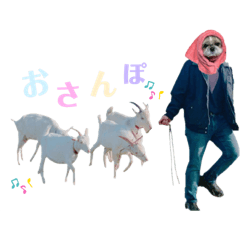 [LINEスタンプ] 犬会スタンプ第一弾！！！