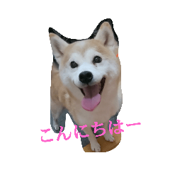 [LINEスタンプ] むぎのつぶやき