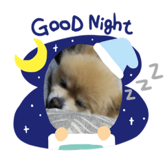 [LINEスタンプ] ぱこです3