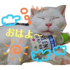 [LINEスタンプ] 近藤家のなかまたち1