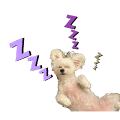 [LINEスタンプ] 愛犬♡わたちょびPart2