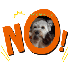 [LINEスタンプ] おーいしけ